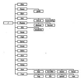 [亲测,Success]Linux,VMware 安装+常用 命 令+网 络+进 程 管 理以及软件安装