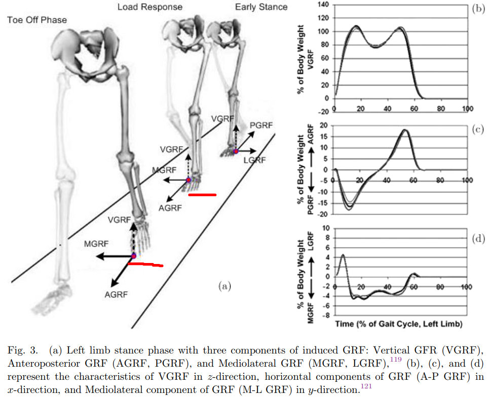 外骨骼之人体行走的研究