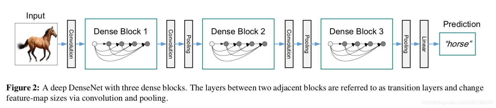 DenseNet