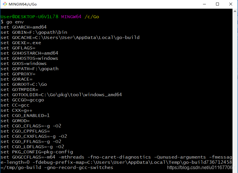 go env