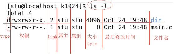 linux文件管理基本命令