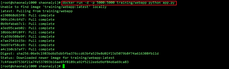 D001.5 Docker入门（超级详细基础篇）_dockerd的基础-CSDN博客