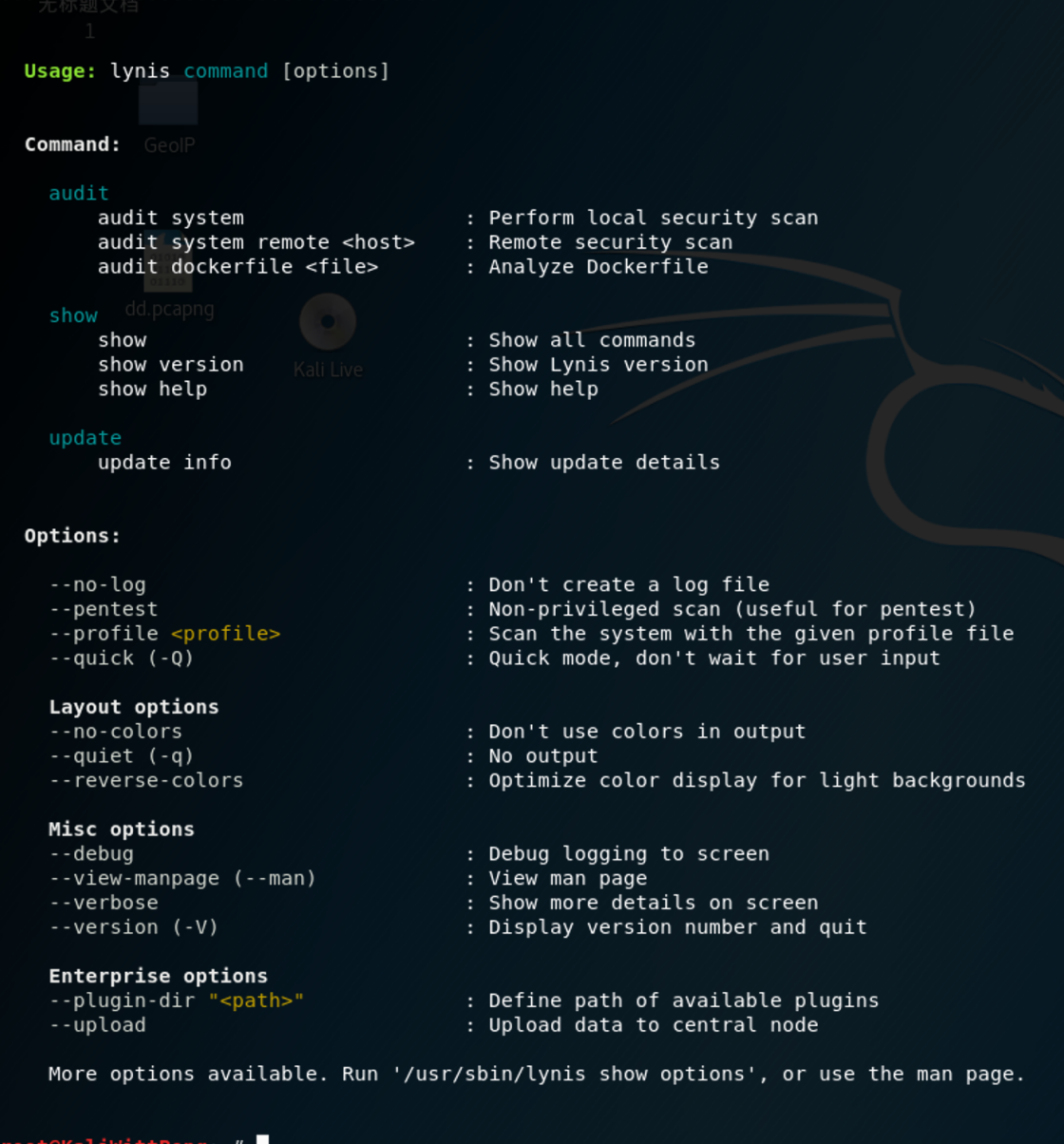 漏洞扫描之lynis扫描_ubuntu 20 使用 lynis 进行扫描-CSDN博客