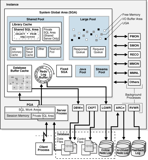 Oracle Instance and Database