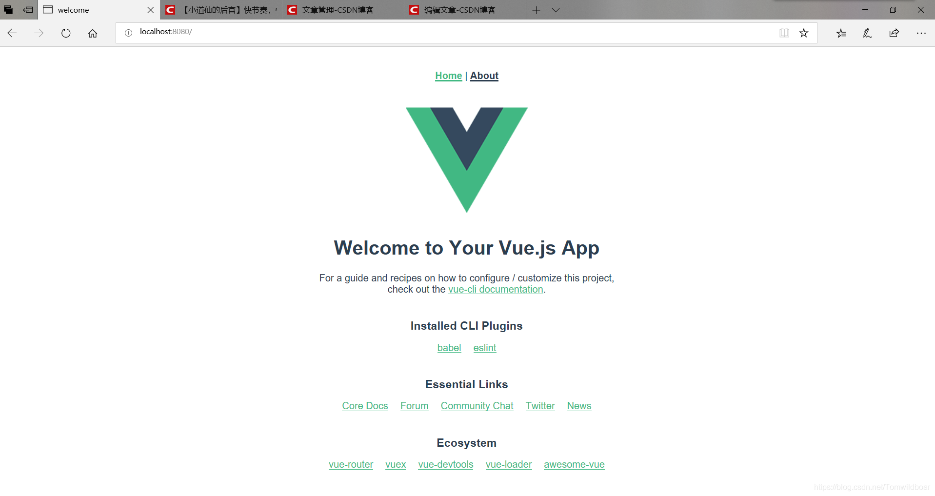 使用 vue-cli3 创建项目 【简单明了】