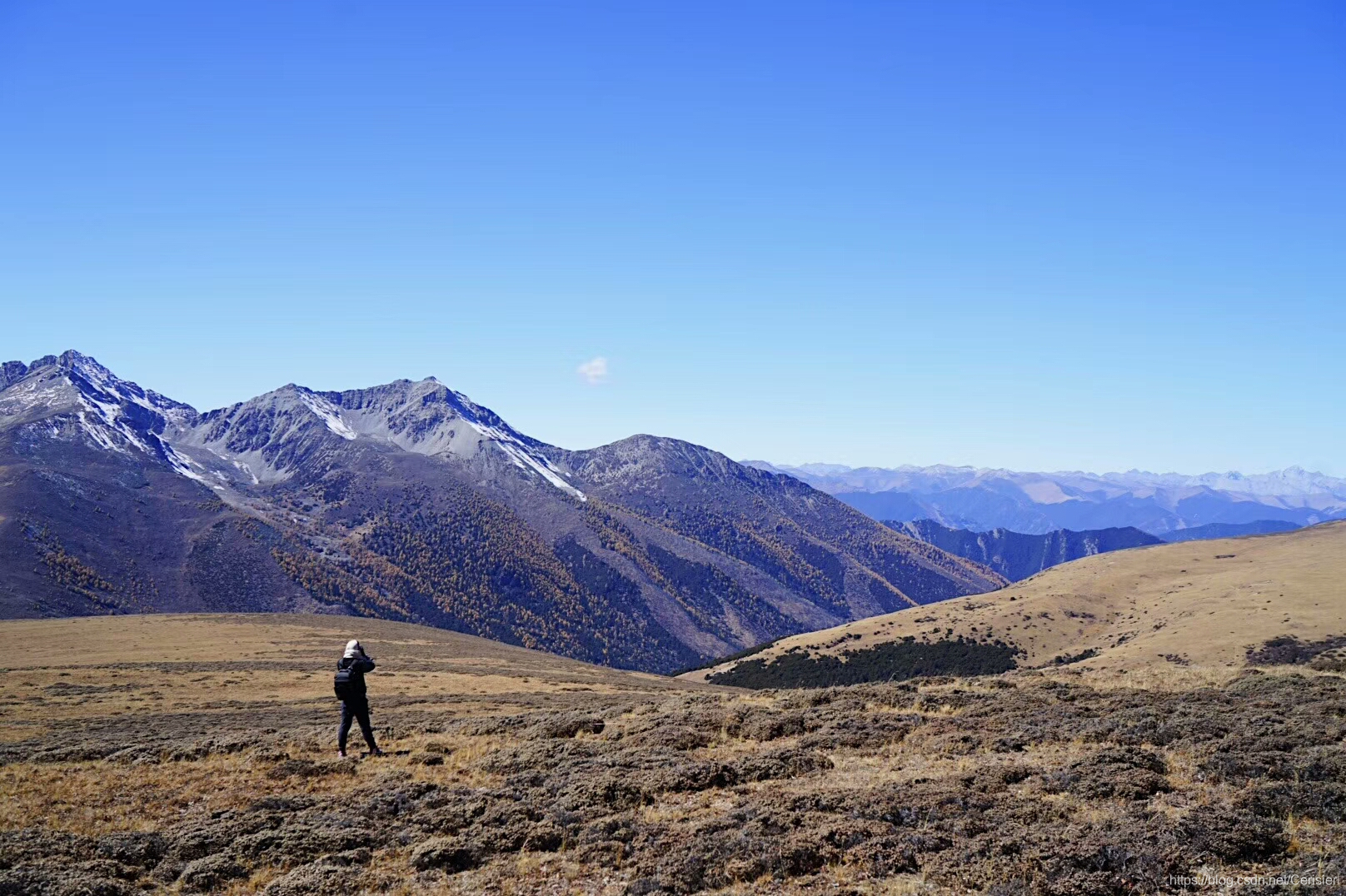 大好河山