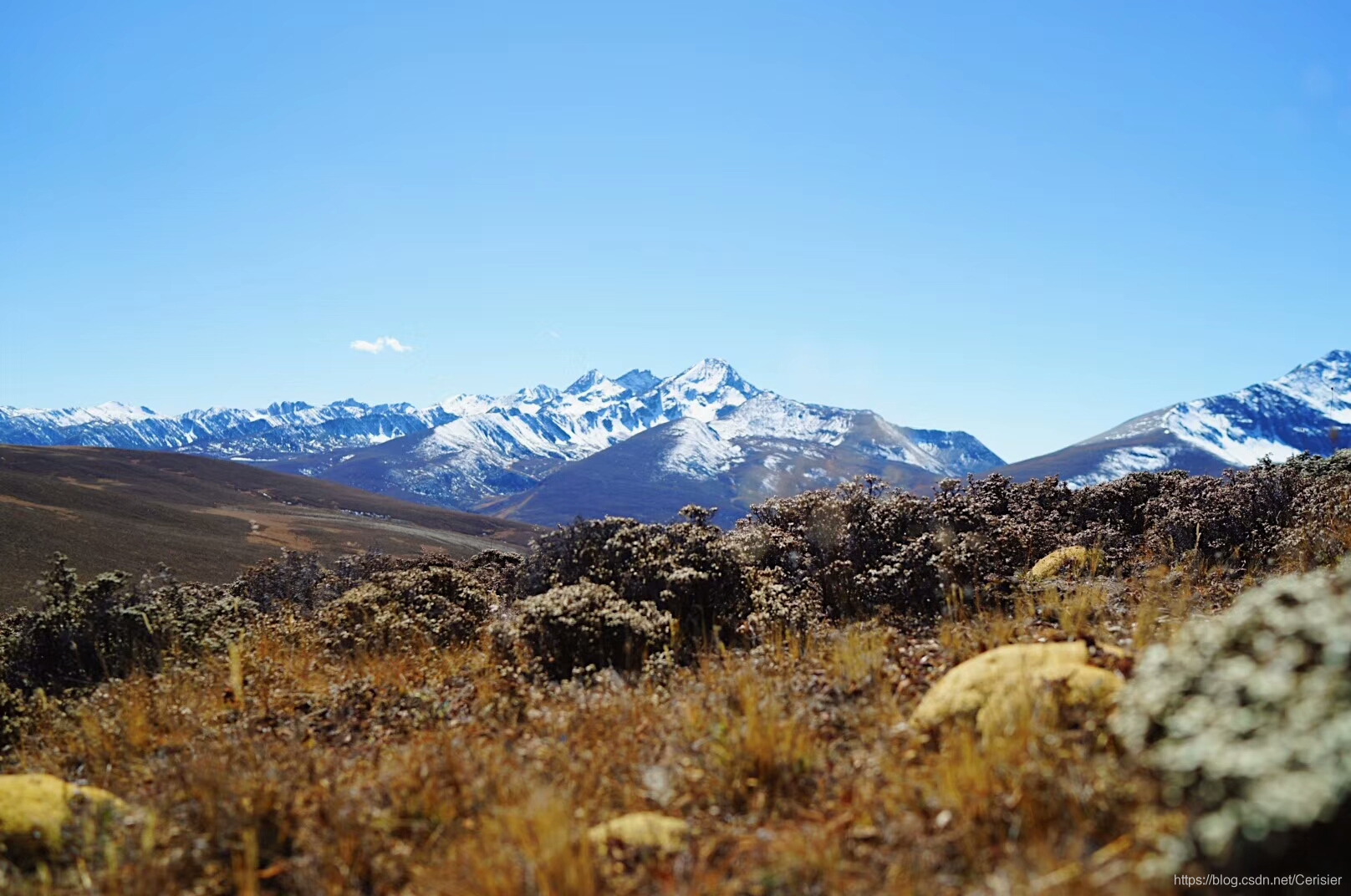 远处的雪山