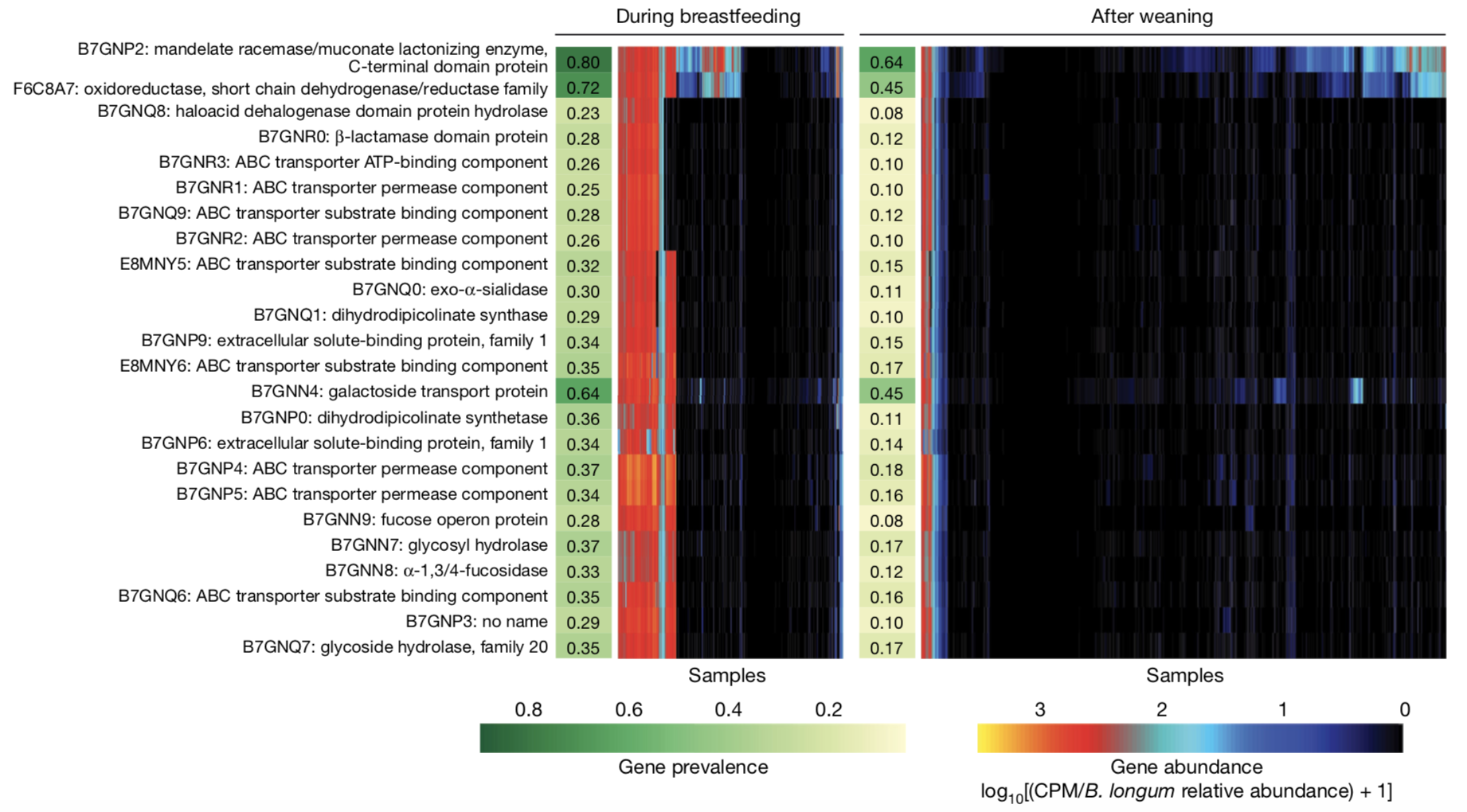 预防i型糖尿病从婴儿时期肠道菌群出发