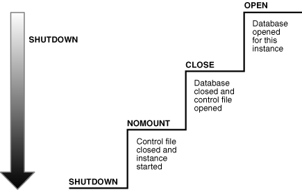 Instance and Database Shutdown Sequence