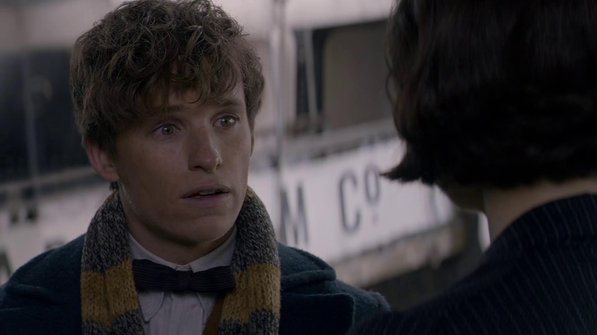 newtscamander的恐惧