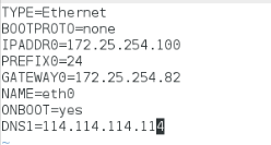 linux的高速缓存dns