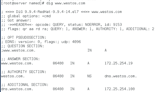 linux的高速缓存dns