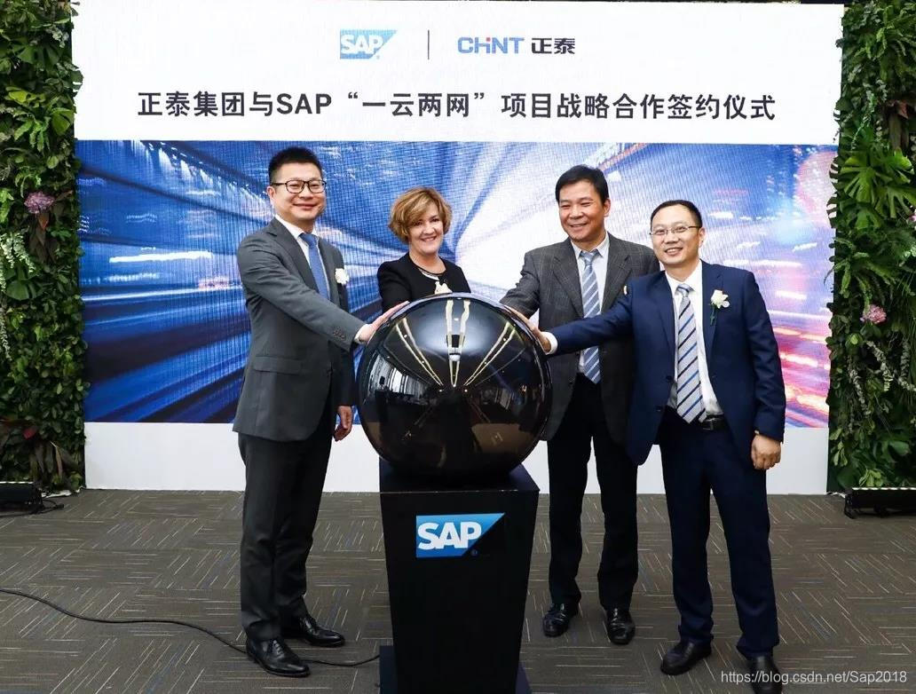 SAP 助力正泰「一云两网」战略落地