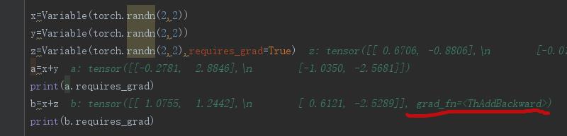 pytorch里optimizer作用、自动求导autograd，from_numpy、numpy()等函数声明变量时候的浅拷贝、显卡内存 out of memory