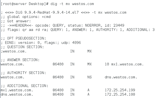 linux的高速缓存dns