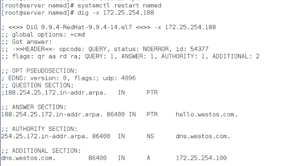 linux的高速缓存dns