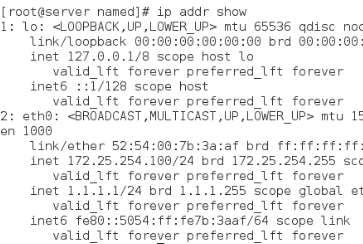 linux的高速缓存dns