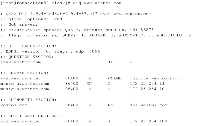 linux的高速缓存dns