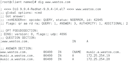 linux的高速缓存dns