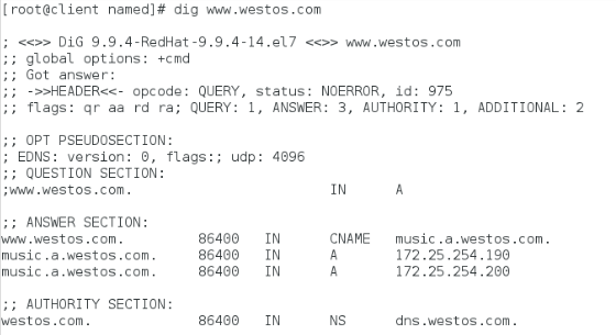 linux的高速缓存dns