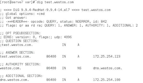 linux的高速缓存dns