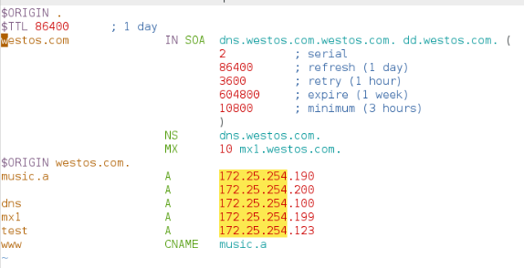 linux的高速缓存dns