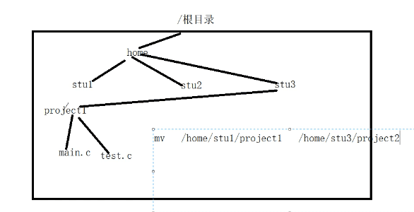 linux文件管理基本命令