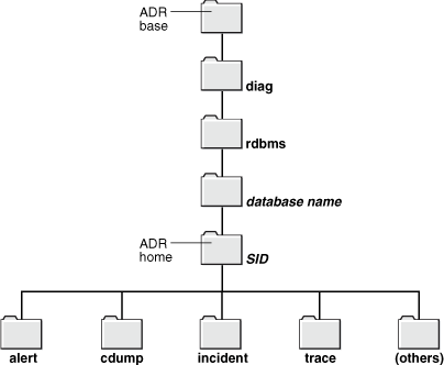 ADR Directory Structure for an Oracle Database Instance
