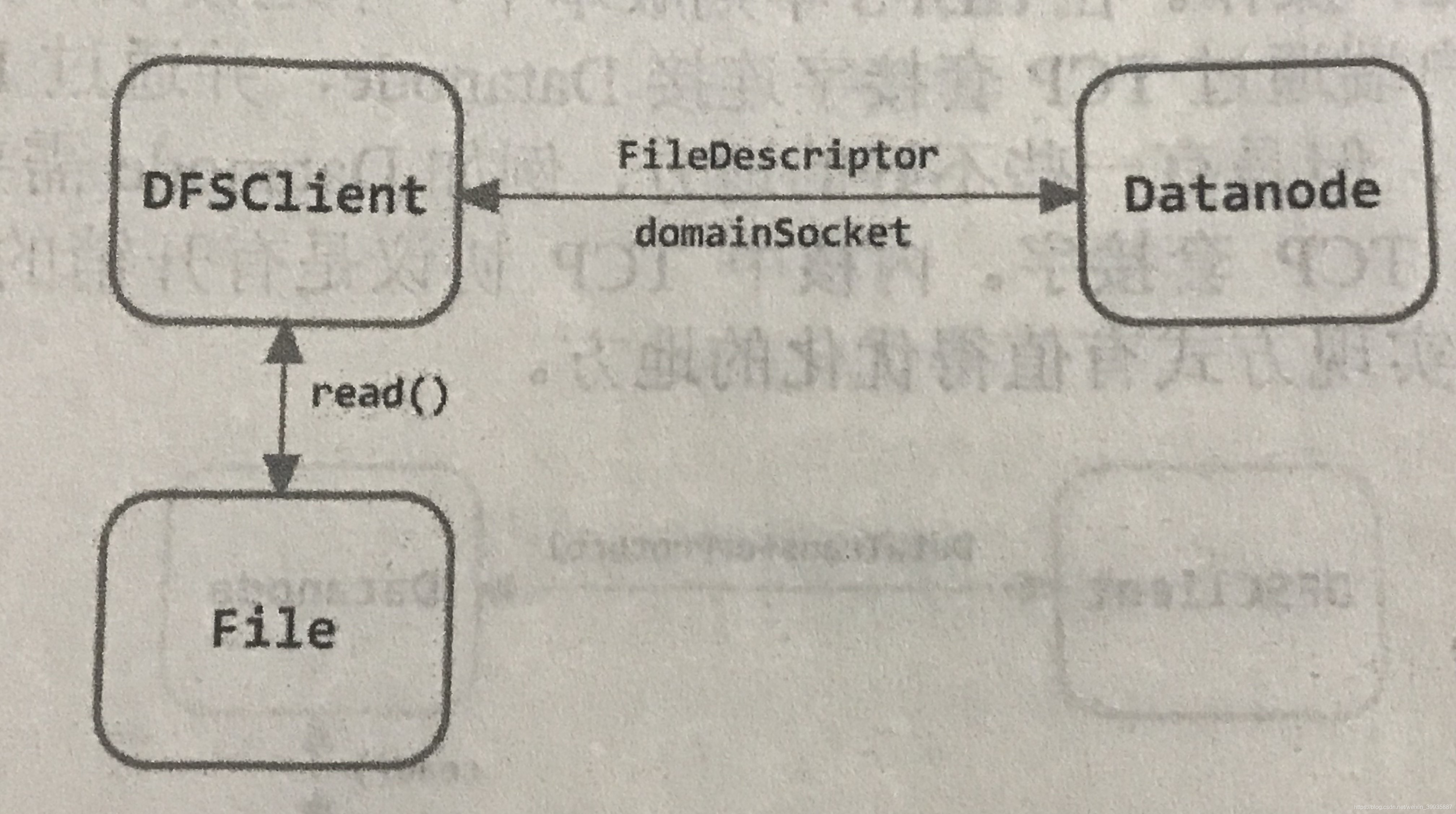 HDFS-347短路读操作示意图