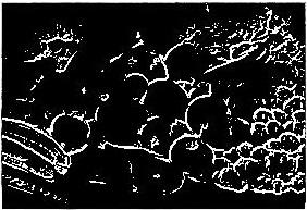 Prewitt算子计算图像梯度