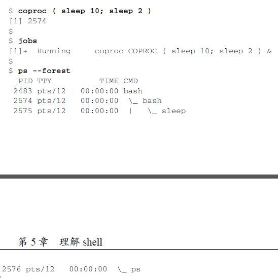 Linux真小白入门教程第十集 详探shell 探索字符串