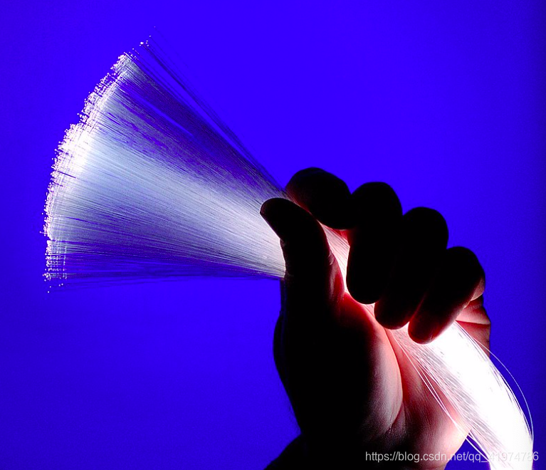 A bundle of optical fibers