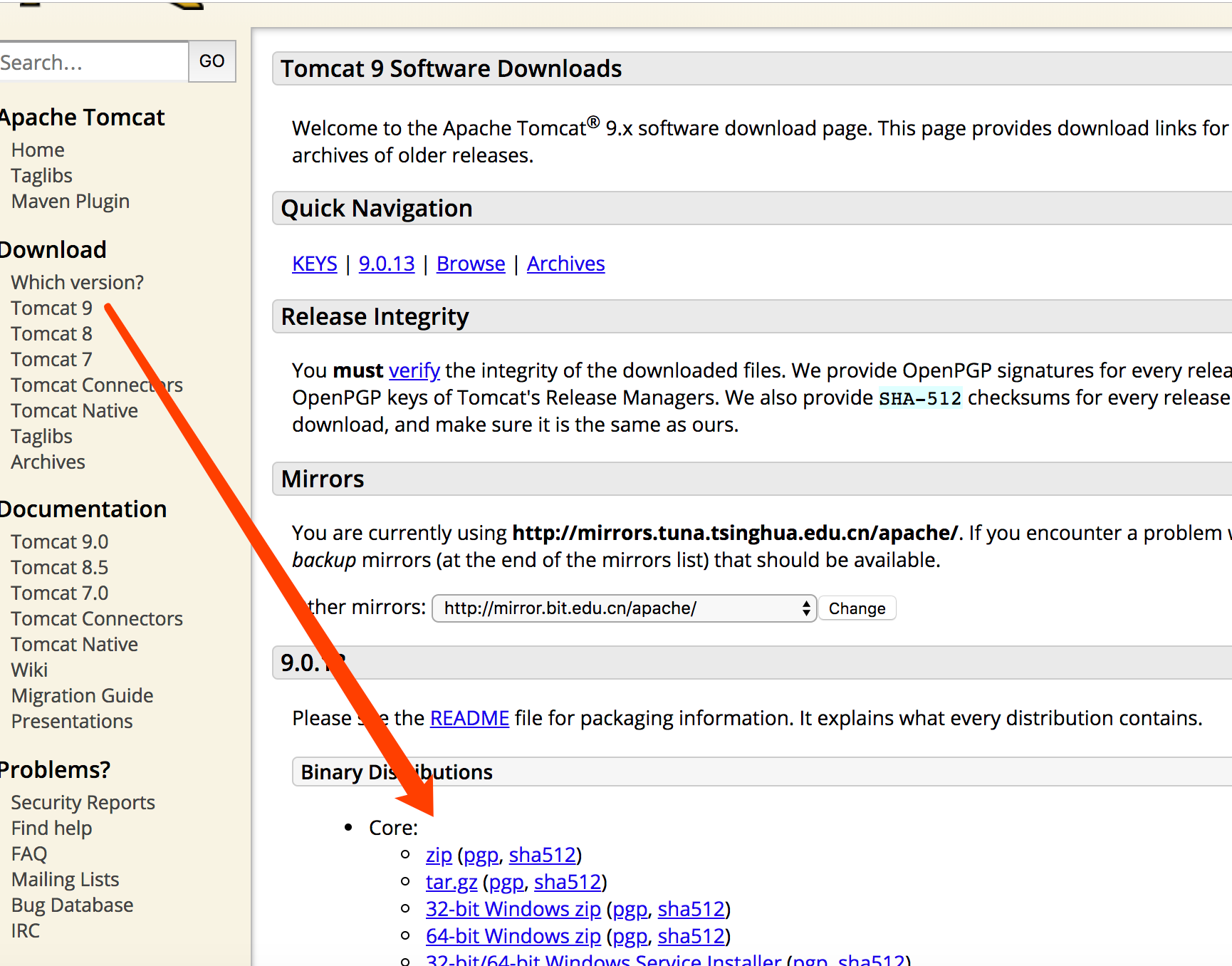 这里我选择的是Tomcat9