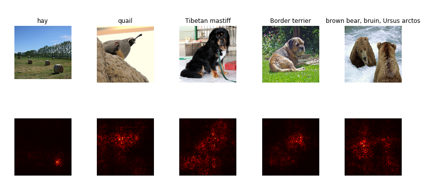 cs231 Network Visualization (PyTorch)_人工智能_段智华的博客-CSDN博客