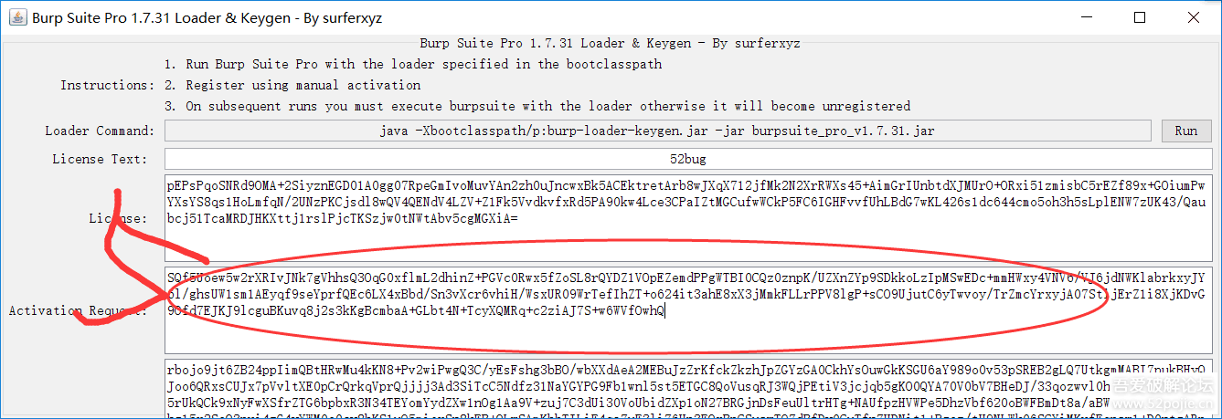burp suite professional beta