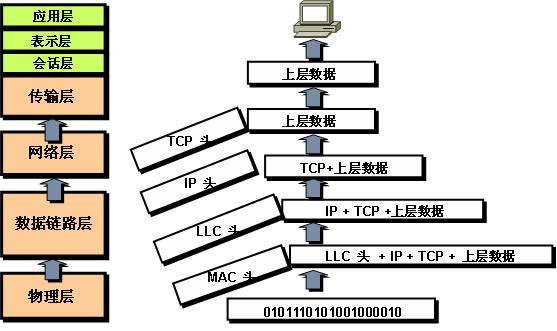 网络协议概述（网络层次结构、TCP、UDP）_网络协议层次结构特点-CSDN博客