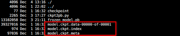 ckpt格式