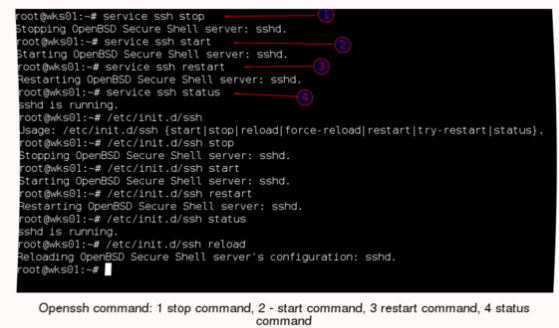 Невозможно найти пакет openssh server debian