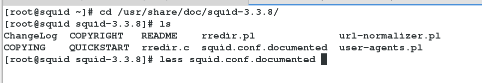 Linux下squid的应用以及CDN（Content Delivery Network）架构的搭建