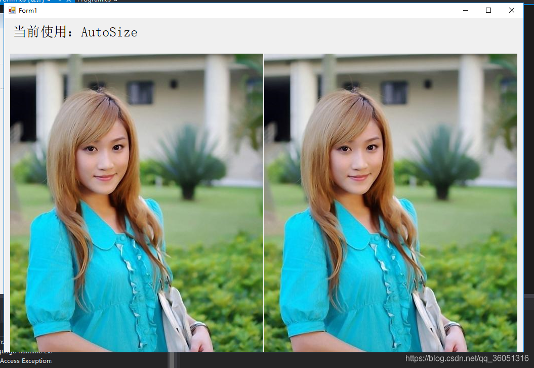 使用PictureBox.SizeMode的详细讲解_picturebox sizemode-CSDN博客