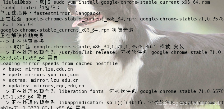 用yum安装下载的好的chrome包，自动给我解决了依赖问题