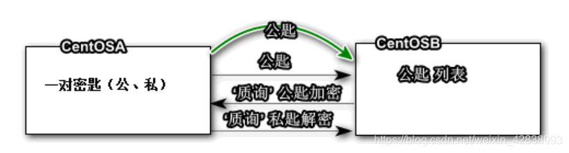 图五