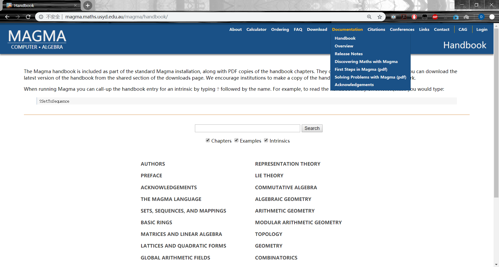 关于Magma_网页版magma怎么登-CSDN博客