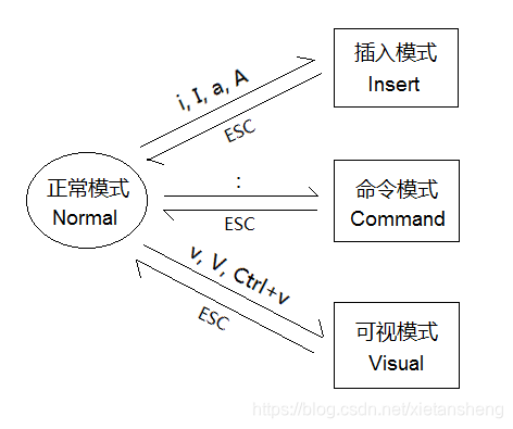 vim-model.png