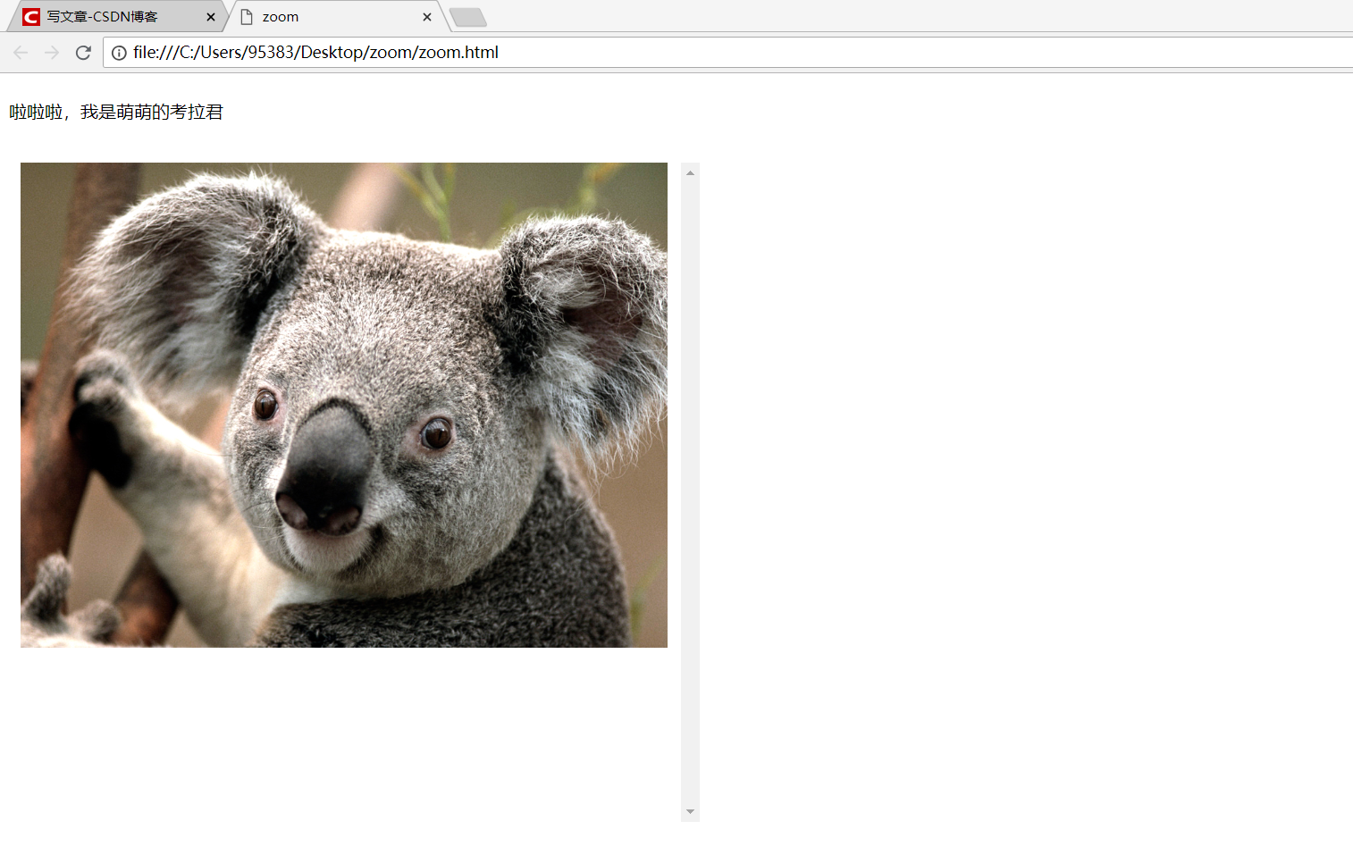 放大镜系列之一js实现对图片的简易放大镜效果的探索