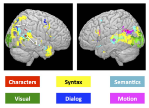 Neural activity by brain region, from Wehbe et al. (2014).