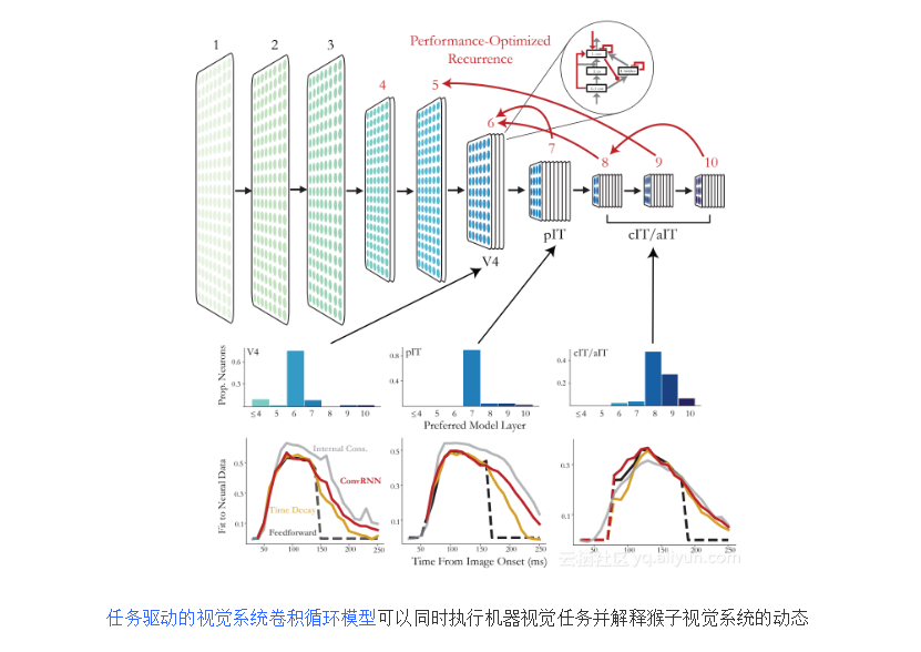 生物智能与AI——关乎创造、关乎理解（下）