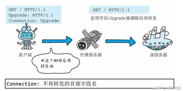 图解传说中的HTTP协议（八）