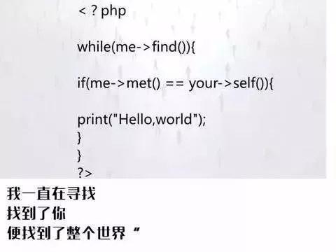 為了脫單，程式設計師們的腦洞簡直衝破天際！