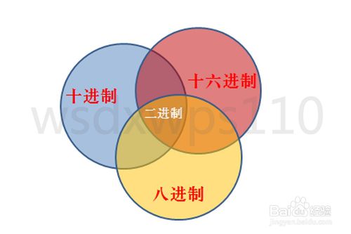 二进制、八进制、十进制、十六进制之间的转换